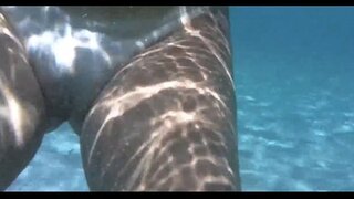 секси эчендә d;су porto da barra, salvador bahia