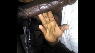 Midday head audiobuch the couch