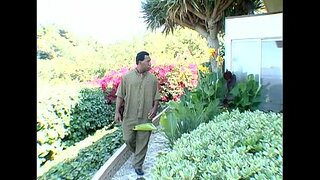 Metro - Ireng Kadagingan Coeds 13 - Full movie